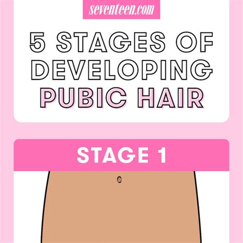 hairy teen pussy spread|Pubic Hair: 5 Things to Know About Pubes, According to Experts